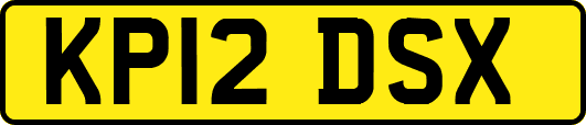 KP12DSX