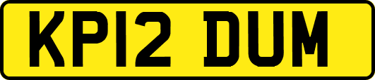 KP12DUM