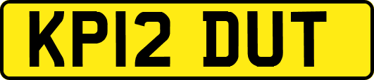 KP12DUT