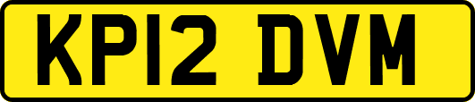 KP12DVM