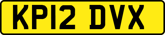 KP12DVX
