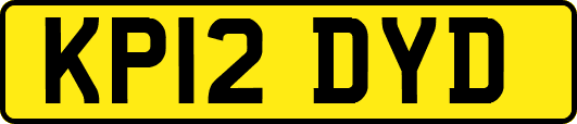 KP12DYD