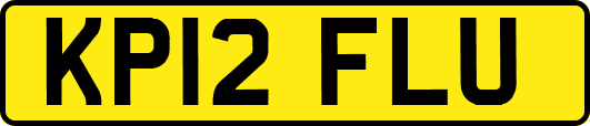 KP12FLU