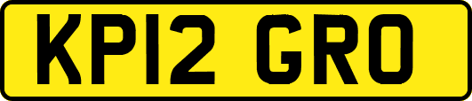 KP12GRO