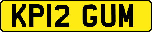 KP12GUM