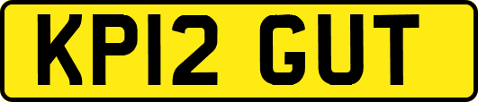 KP12GUT