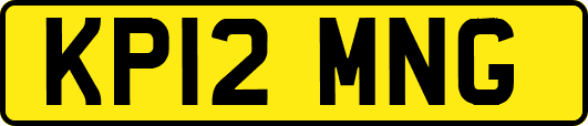 KP12MNG