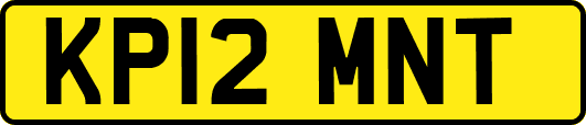 KP12MNT