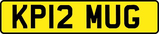 KP12MUG