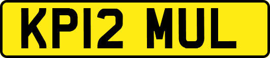 KP12MUL