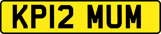 KP12MUM