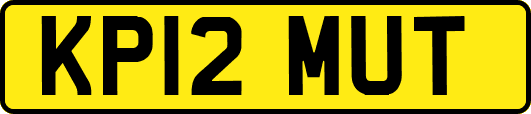 KP12MUT