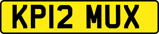 KP12MUX