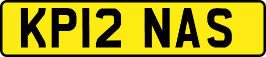 KP12NAS