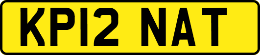 KP12NAT