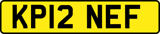 KP12NEF