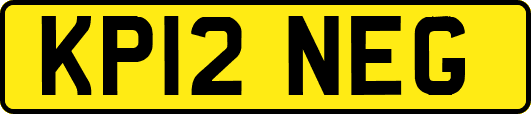 KP12NEG