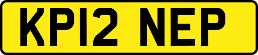 KP12NEP