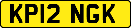 KP12NGK