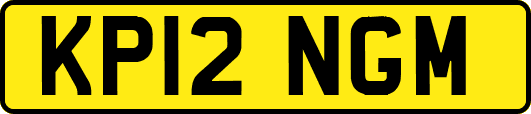 KP12NGM