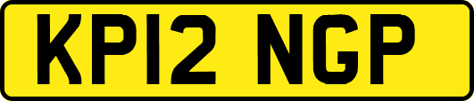 KP12NGP