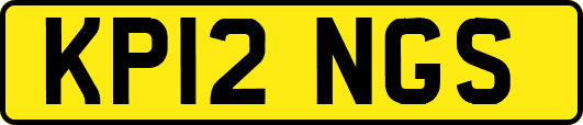 KP12NGS