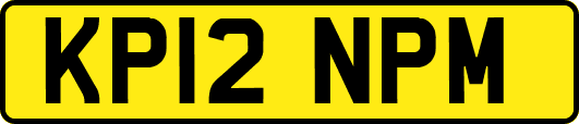KP12NPM