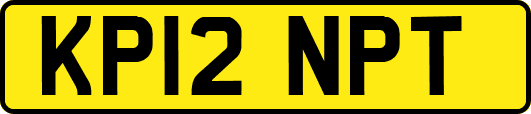 KP12NPT