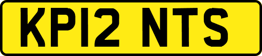 KP12NTS