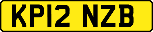 KP12NZB