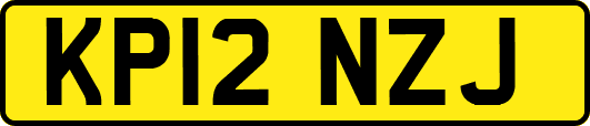 KP12NZJ