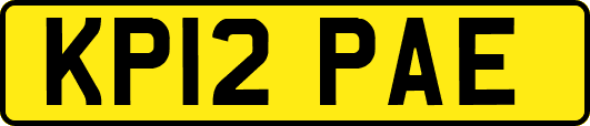 KP12PAE