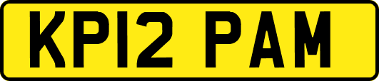 KP12PAM