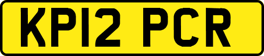KP12PCR