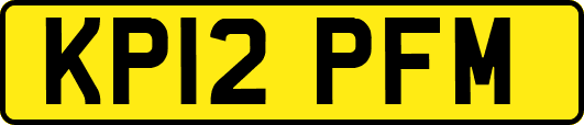KP12PFM