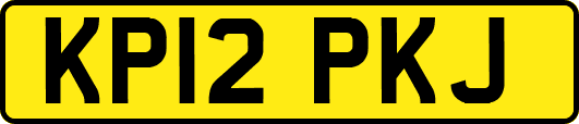 KP12PKJ