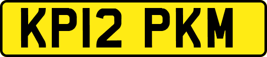 KP12PKM