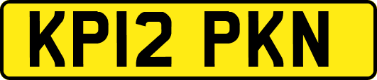 KP12PKN