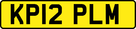 KP12PLM