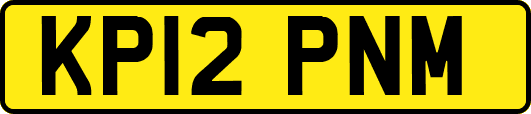 KP12PNM