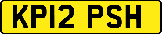 KP12PSH