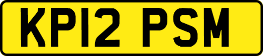 KP12PSM