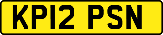KP12PSN