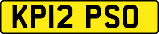 KP12PSO