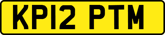 KP12PTM