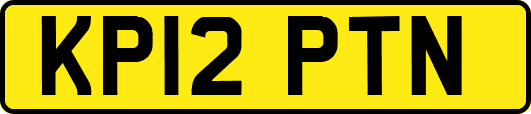 KP12PTN