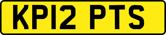 KP12PTS