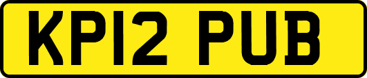 KP12PUB
