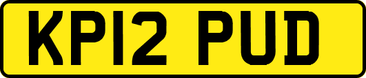 KP12PUD