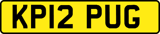 KP12PUG